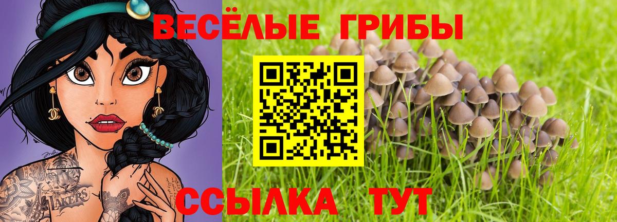 Новочебоксарск  Псилоцибиновые грибы Psilocybine cubensis  Вход с VPN  Галлюциногенные грибы MAGIC MUSHROOMS 