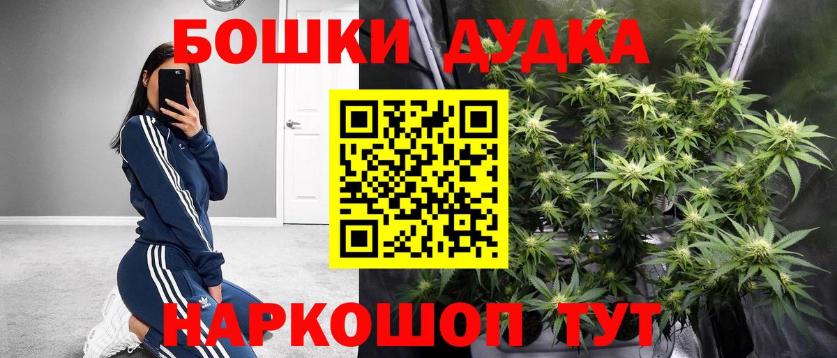 Новочебоксарск  Марихуана индика  Каннабис сатива  Каннабис индика  Канабис план  Вход с VPN 